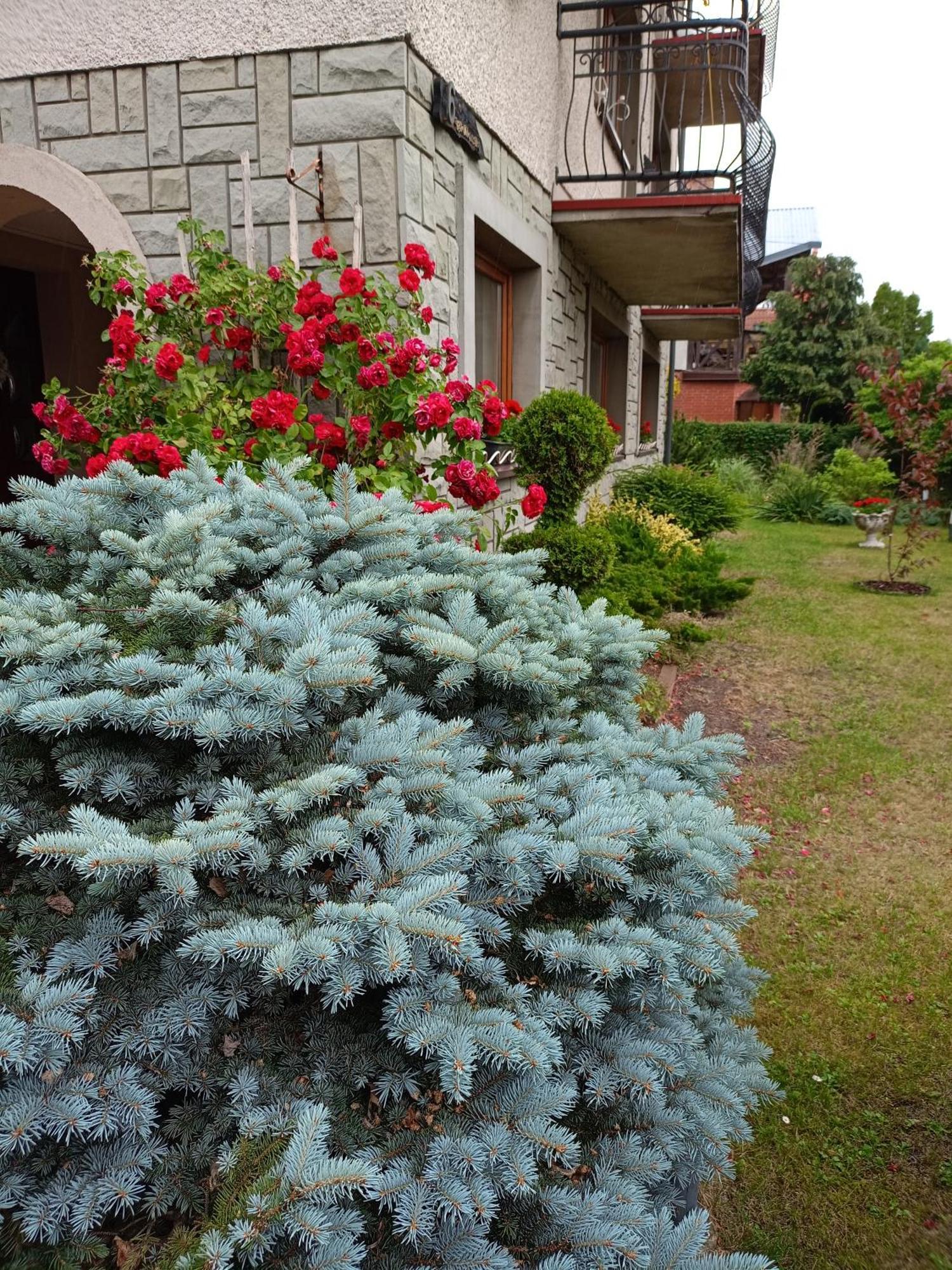 Miramar Apartment เวบา ภายนอก รูปภาพ